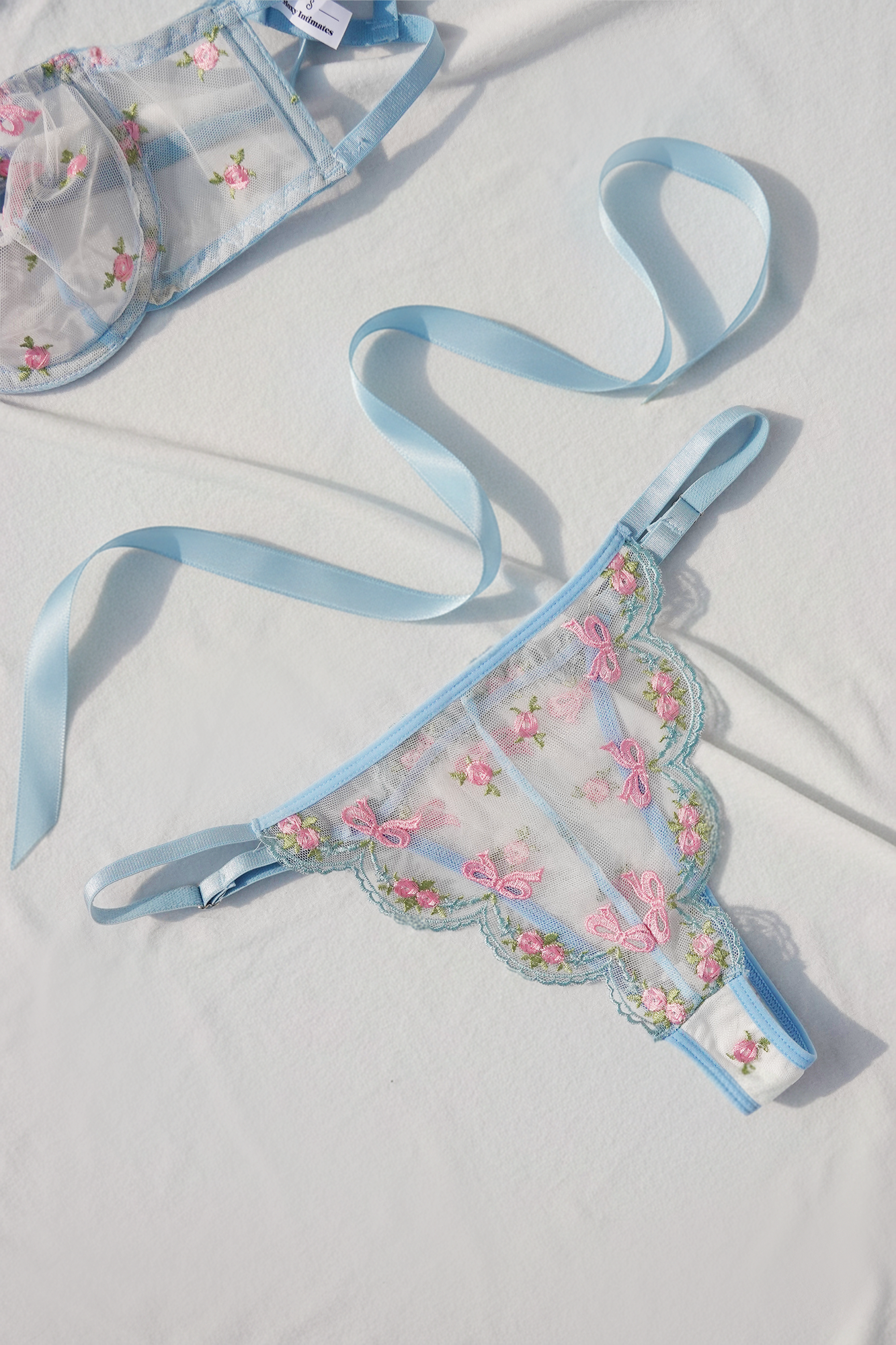 Baby Blue Bra and Panty Set