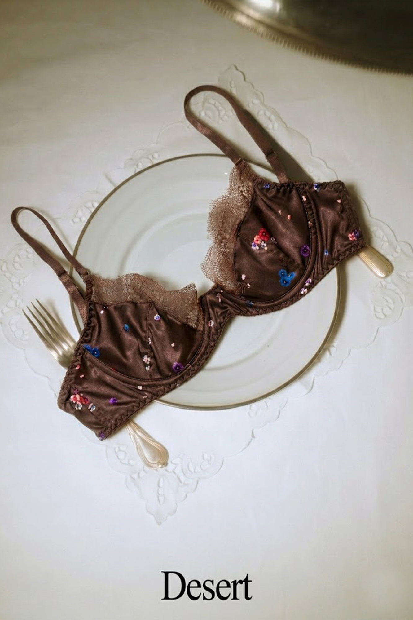 Brown Satin Lingerie