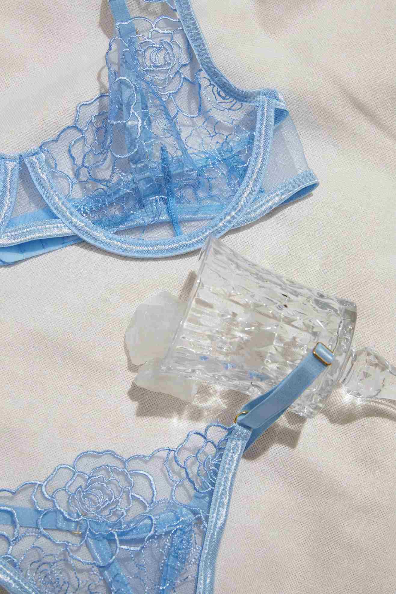 Sheer Lingerie in Blue