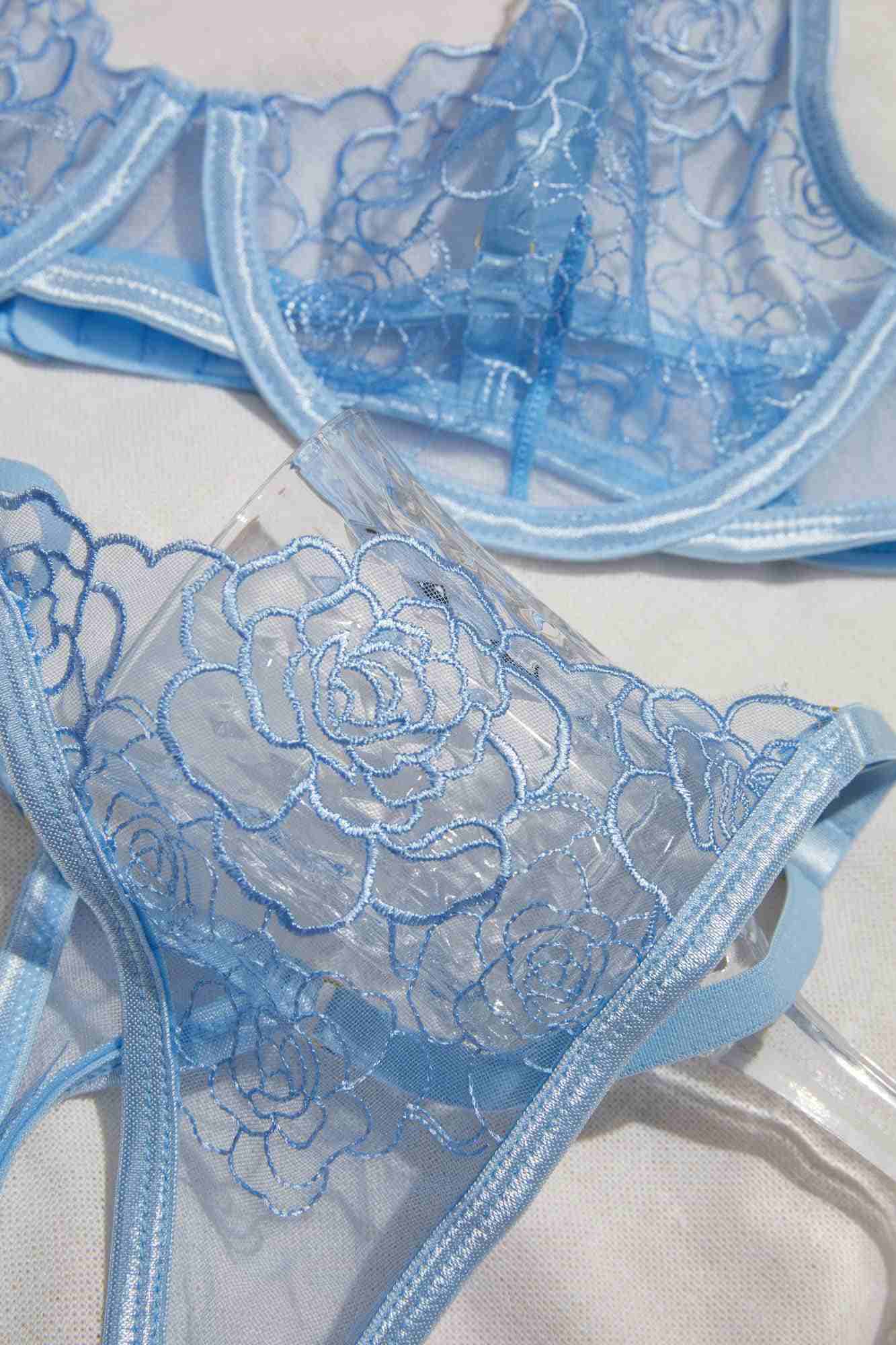 Sheer Lingerie in Blue