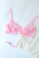 Pink Sweetheart Lingerie Set