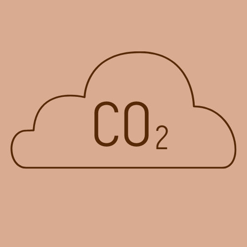 Carbon Offset for Shipping-Moxy Intimates
